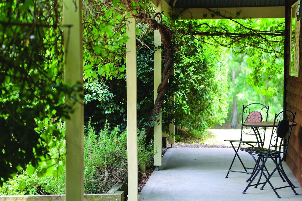 Hunter Valley Misty Glen Cottage מראה חיצוני תמונה